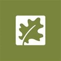 Oasis International Limited
