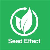 Seed Effect