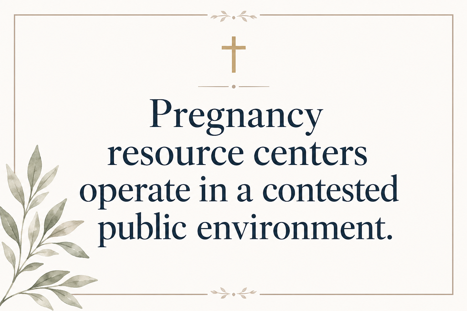 Key insight about How pregnancy resource centers measure impact