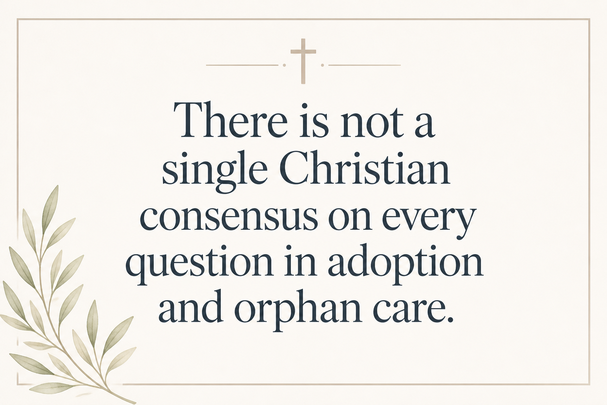 Key insight about Why Christian adoption ministries emphasize biblical orphan care